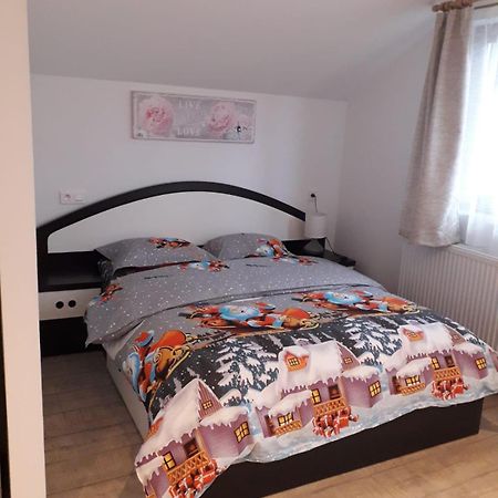 Cazare Regim Hotelier Zărneşti מראה חיצוני תמונה
